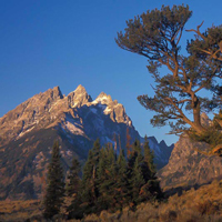 Alpenglow Tours